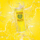 Guayakí Yerba Mate, Organic Energy Drink , Lemon Elation, 15.5 Oz (Pack of 12)