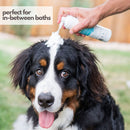 Mighty Mutt Hypoallergenic Waterless Shampoo for Dogs (8 oz) + Refill (30 oz) Bundle | Dry Shampoo for Dogs | Waterless Foam No Rinse | Anti-Itch, Soothing and Deodorizing
