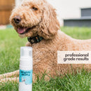 Mighty Mutt Hypoallergenic Waterless Shampoo for Dogs (8 oz) + Refill (30 oz) Bundle | Dry Shampoo for Dogs | Waterless Foam No Rinse | Anti-Itch, Soothing and Deodorizing