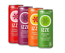 IZZE Sparkling Juice Beverage Variety Pack – Strawberry, Blackberry, Mango & Apple Flavors, 8.4 fl oz Cans, 24 count