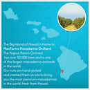 Macadamia Nuts MacFarms Dry Roasted 24 OZ (1 Pack) - Premium Roasted with Sea Salt Fresh From Hawaii