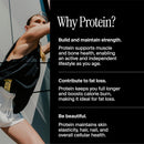 David High Protein Bars - 0g of Sugar, Gluten Free - 28g of Protein, 150 Calories - Cinnamon Roll, Pack of 12
