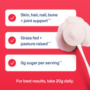 Vital Proteins Collagen Peptides Powder - Ice Pop Flavored Powder for Hair, Nail, Skin, Bone & Joint Health, 26.3oz