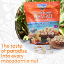 Macadamia Nuts MacFarms Dry Roasted 24 OZ (1 Pack) - Premium Roasted with Sea Salt Fresh From Hawaii