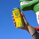 Guayakí Yerba Mate, Organic Energy Drink Alternative, Enlighten Mint, 15.5 Oz (Pack of 12)