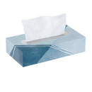 Kirkland Signature Facial Tissue, 2-Ply, Flat Box, 110 Tissues, 30 ct