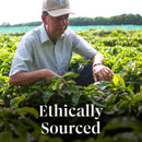 Starbucks Limited Edition Holiday Blend K-Cup Pods - 72 Count