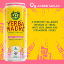 Guayakí Yerba Mate, Organic Energy Drink , Variety Pack, 15.5 Fl Oz  (Pack of 12)
