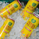 Yerba Madre Organic Energy Drink Alternative, Watermelody, Smooth Energy & Focus, 15.5 Oz Cans (Pack of 12)
