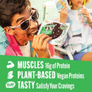 Lenny & Larry's, Choc-O-Mint, Chewy Soft Baked, 16g Plant Protein, Vegan, Non-GMO, High Fiber, 4 Ounce Cookie (Pack of 12)