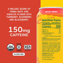 Yerba Madre Organic Yerba Mate, Energy Drink , 15.5oz Cans (Pack of 12)