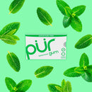 Pur Sugar Free Chewing Gum, Spearmint, 9 pieces, 12 ct