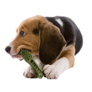 Kirkland Signature Dental Chews (72)