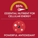 Qunol Mega Ubiquinol CoQ10 100mg, Superior Absorption, Patented Water and Fat Soluble Natural Supplement Form of Coenzyme Q10, Antioxidant for Heart Health