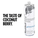 Red Bull Energy Drink, Coconut Berry, 12 fl oz (Pack of 24)
