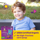 Annie's Organic Birthday Cake Bunny Grahams and Cheddar Bunnies Snack Pack 36 Count, 36 oz