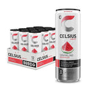 CELSIUS Functional Essential Energy Drink 12 Fl Oz (Pack of 12)